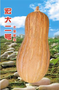40g宏大2号南瓜（罐装）