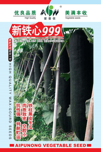 新铁心999冬瓜