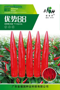 5g优势88朝天椒