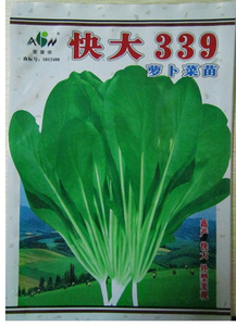 400g快大339萝卜菜苗