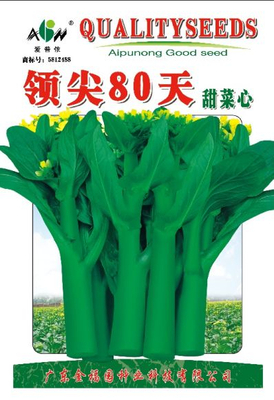 领尖80天菜心