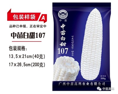 200g中苗白甜107