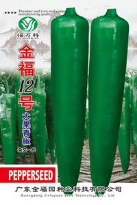 5g金福12号辣椒