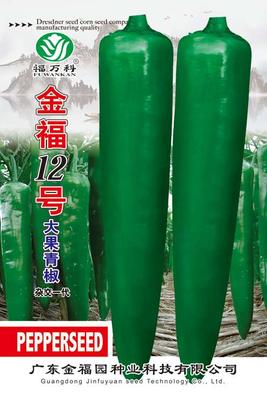 5g金福12号辣椒