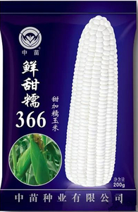 200g鲜甜糯366玉米