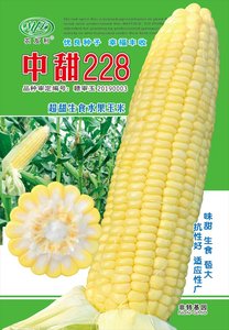 200g中甜228玉米