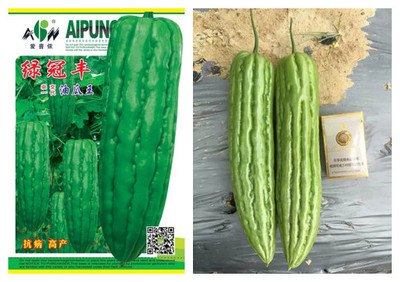 绿冠丰