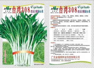 400g台湾308通心菜